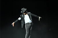 The Michael Jackson HIStory