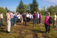 Guidet Vildmosetur