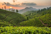 Sri Lanka og Maldiverne
