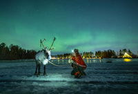 Nordlys i Lapland